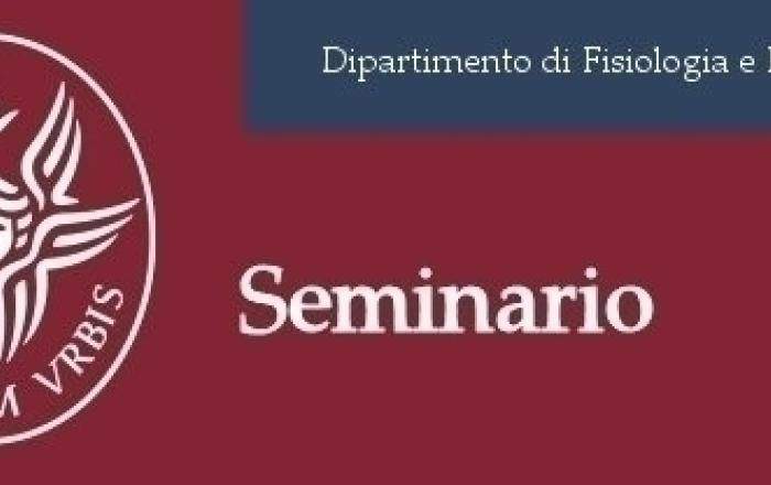 Seminari Stefano Garofalo e Gabriele Ruffolo - 11 Dicembre 2023