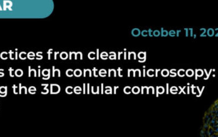 Best practices from clearing methods to high content microscopy: exploring the 3D cellular complexity in depth