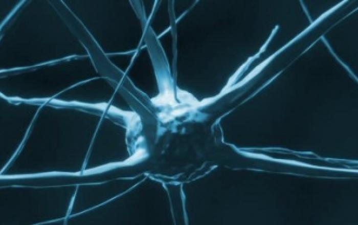 Correlati Neurali della Coscienza: Neurofisiologia ed applicazioni cliniche - 28 Maggio 2021