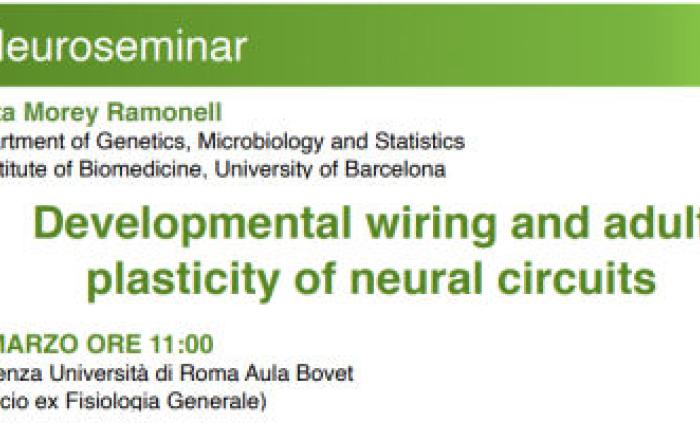 Developmental wiring and adult plasticity of neural circuits - 25 Marzo 2022