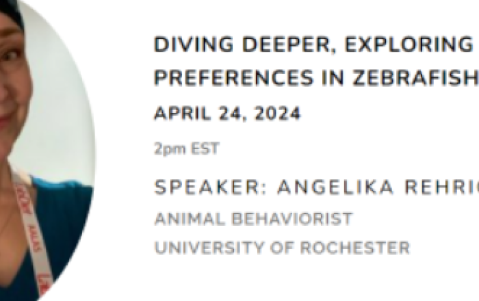 Diving Deeper, Enrichment Preferences in Zebrafish