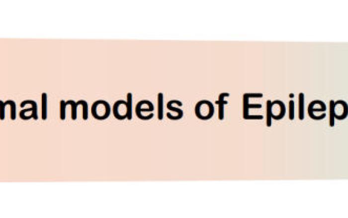 Avviso Symposium on animal models of Epilepsies