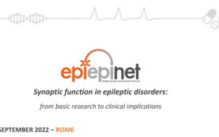 Synaptic function in epileptic disorders: from basic research to clinical implications