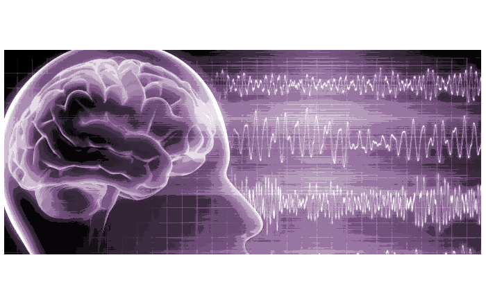 Mapping and Driving Cortical Activity in Alzheimer's Disease by Noninvasive Neuromodulation - Prof. Dr. Bahar Guntekin - 28 Gennaio 2025